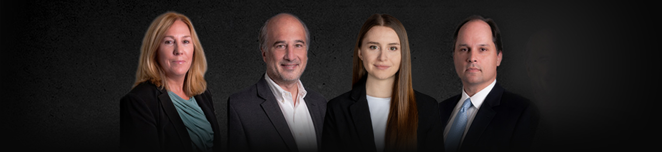 Attorneys from Ed Fox & Associates, Ltd.